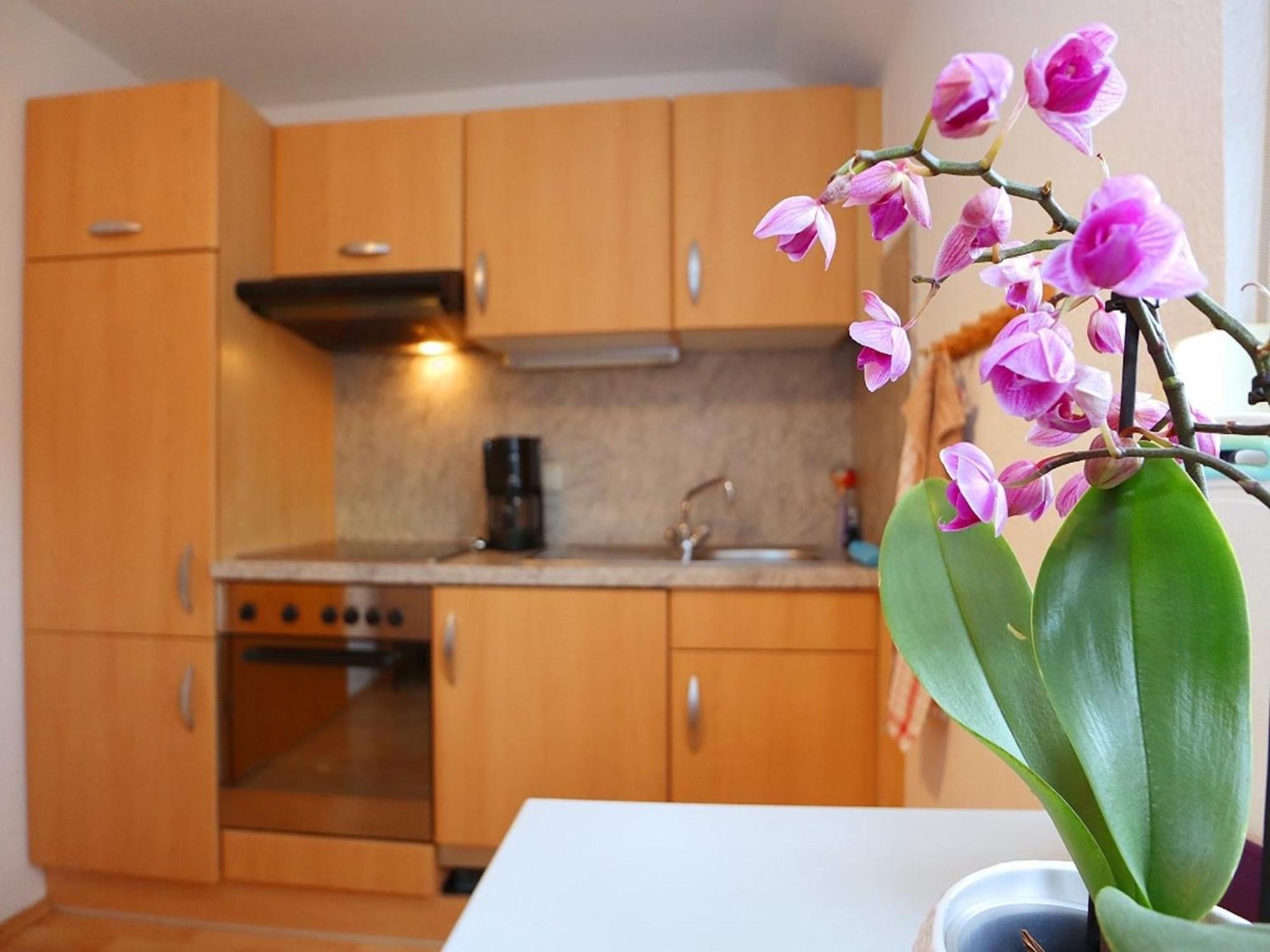 Cozy Apartment In Schwenningen With Garden フィリンゲン・シュヴェニンゲン エクステリア 写真